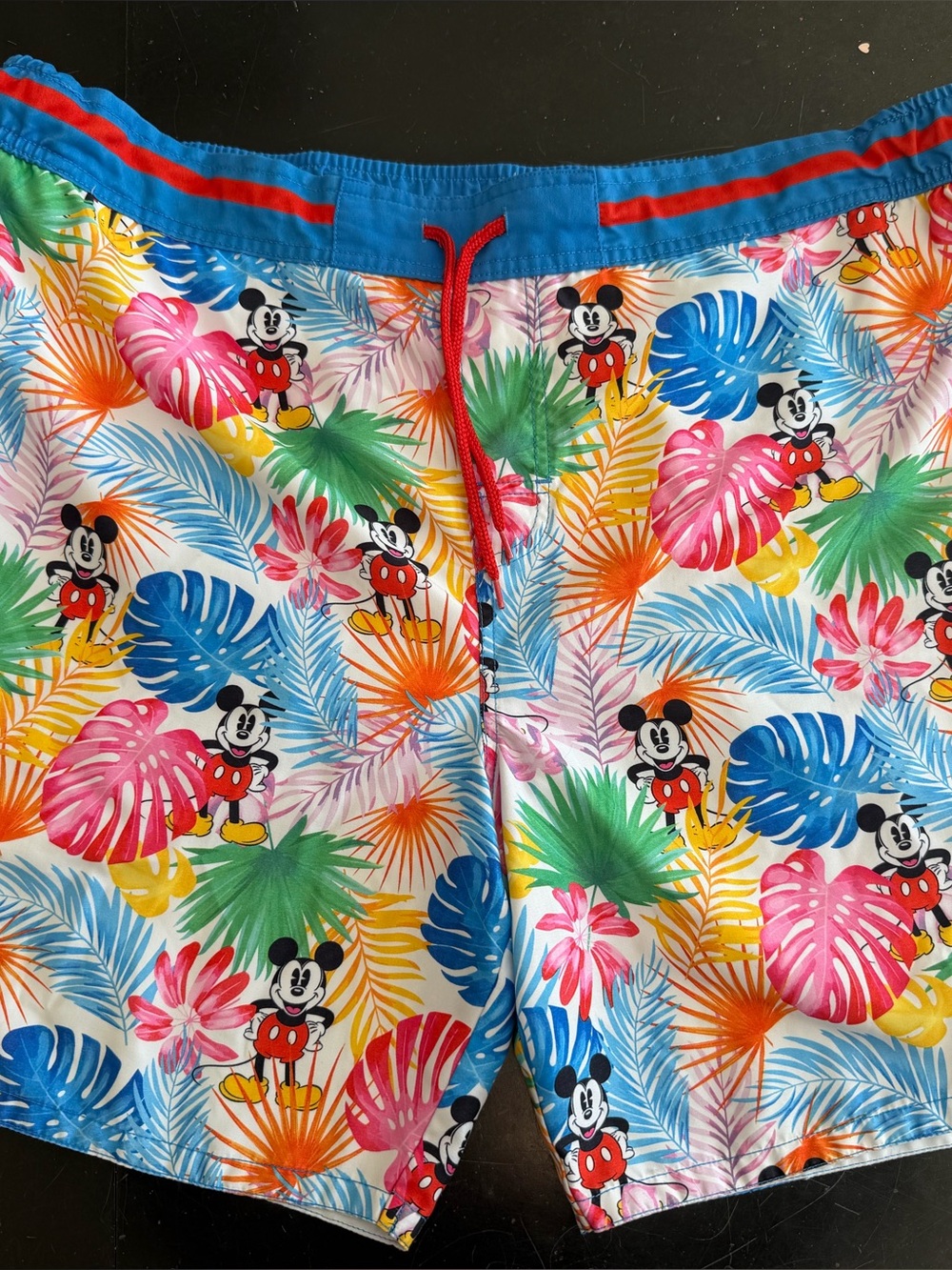 Disney Mickey Mouse bathing suit shorts men 2XL